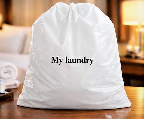 laundry bag 2.JPG