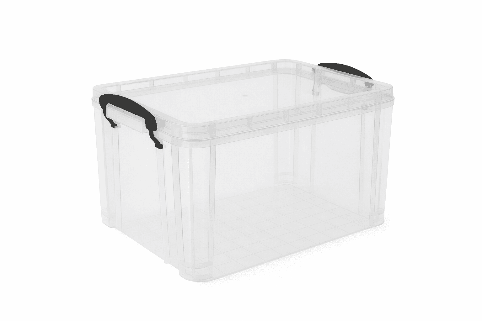 ChatGPT Image Feb 3, 2026 at 10_24_12 AM.png