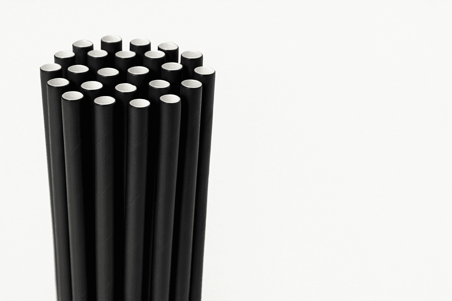 ChatGPT Image Jul 17, 2025 at 10_56_36 AM.png