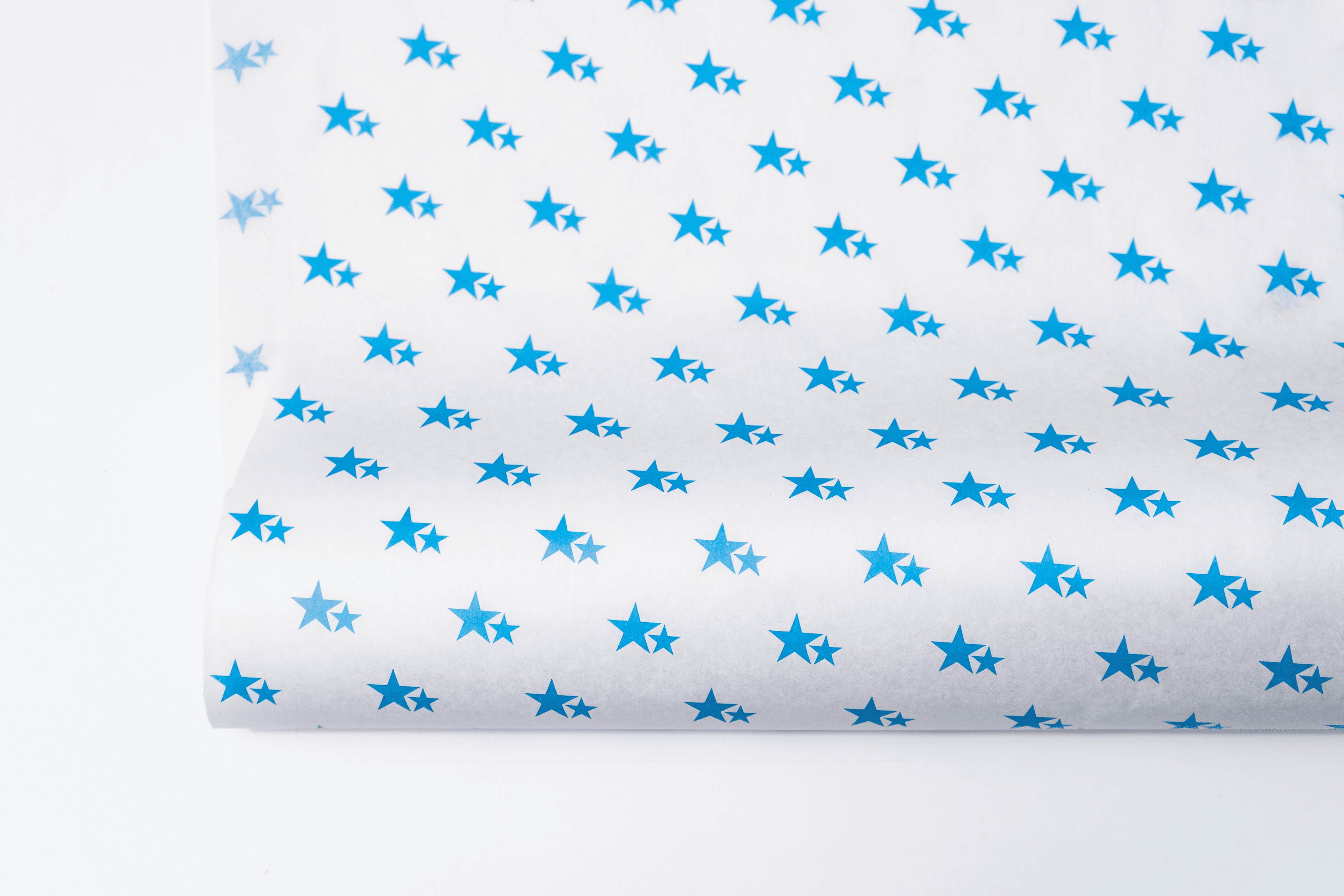 Star blue_White.jpg.png