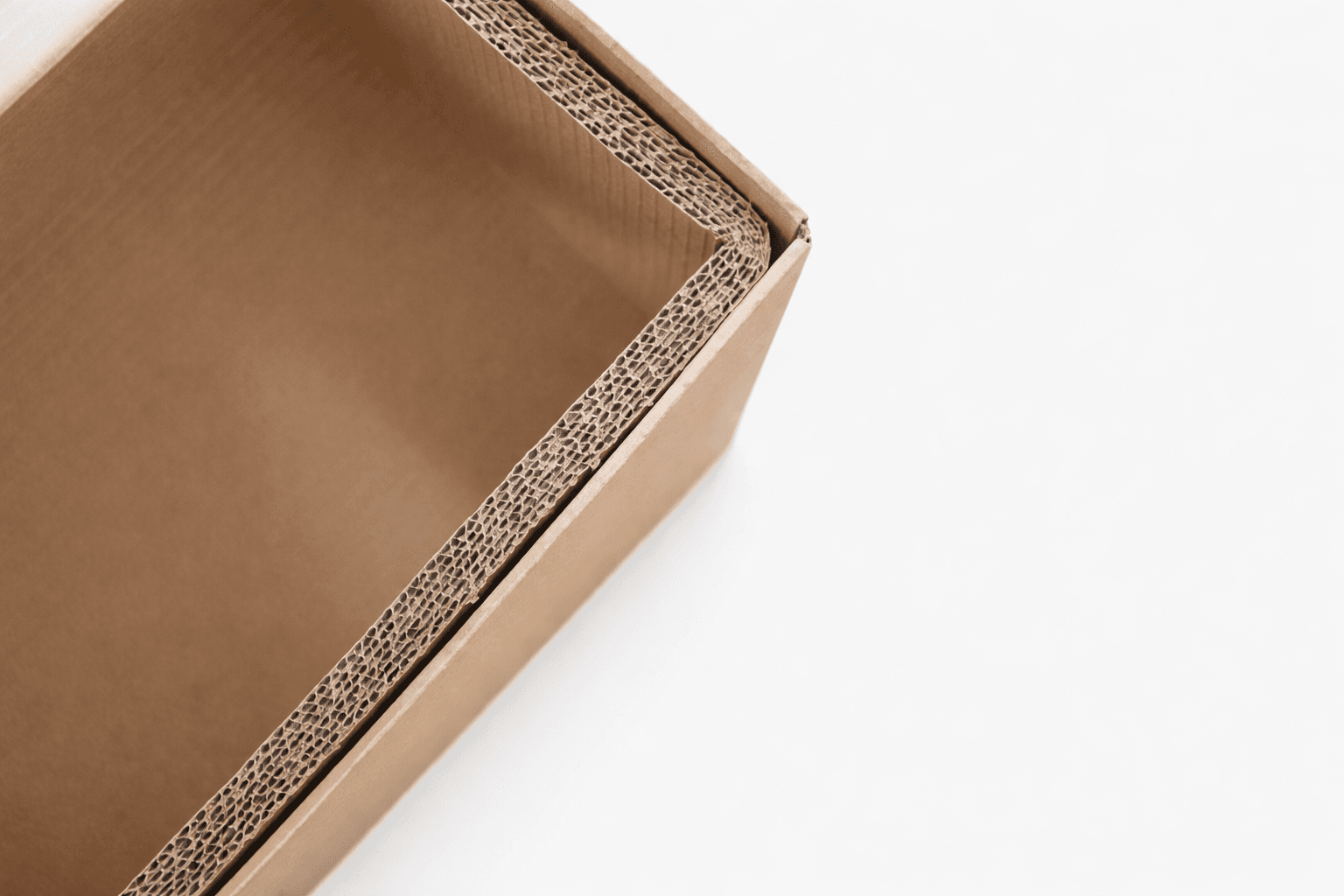 ChatGPT Image Mar 10, 2026, 07_13_34 PM.png